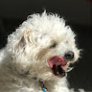 Meet your Posher, Isaac